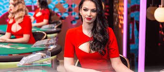 86bet website